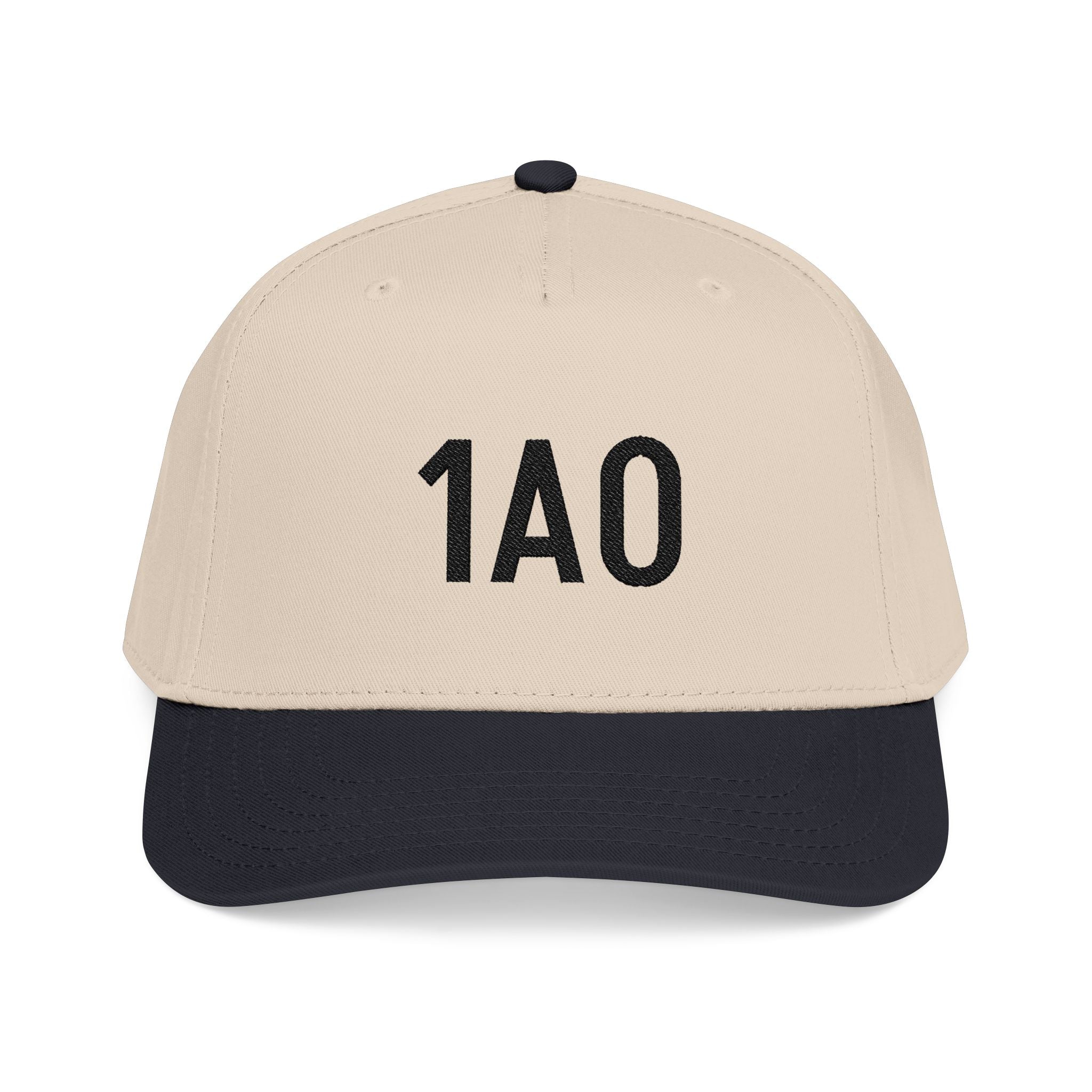 Embroidered 1AO Baseball Cap