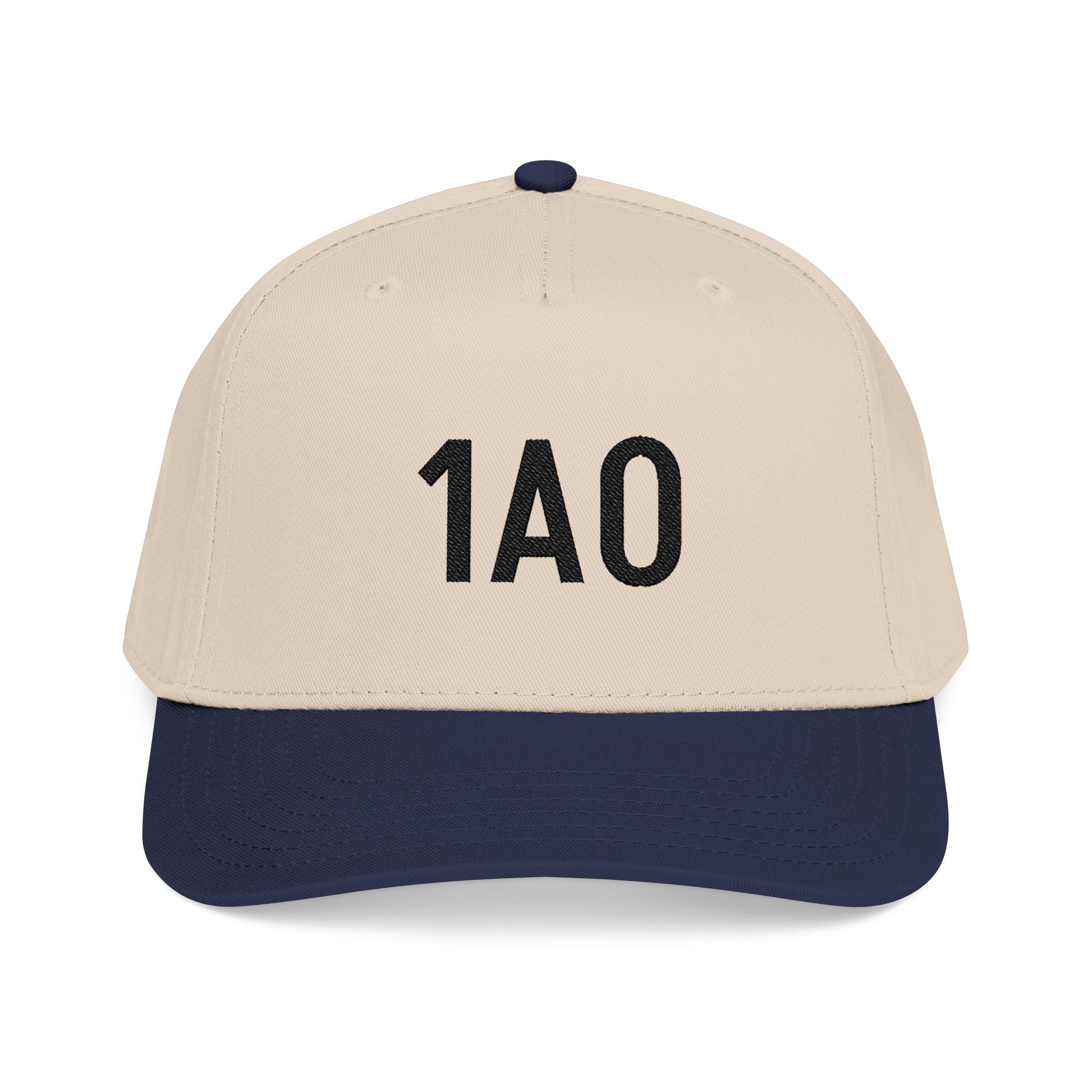 Embroidered 1AO Baseball Cap