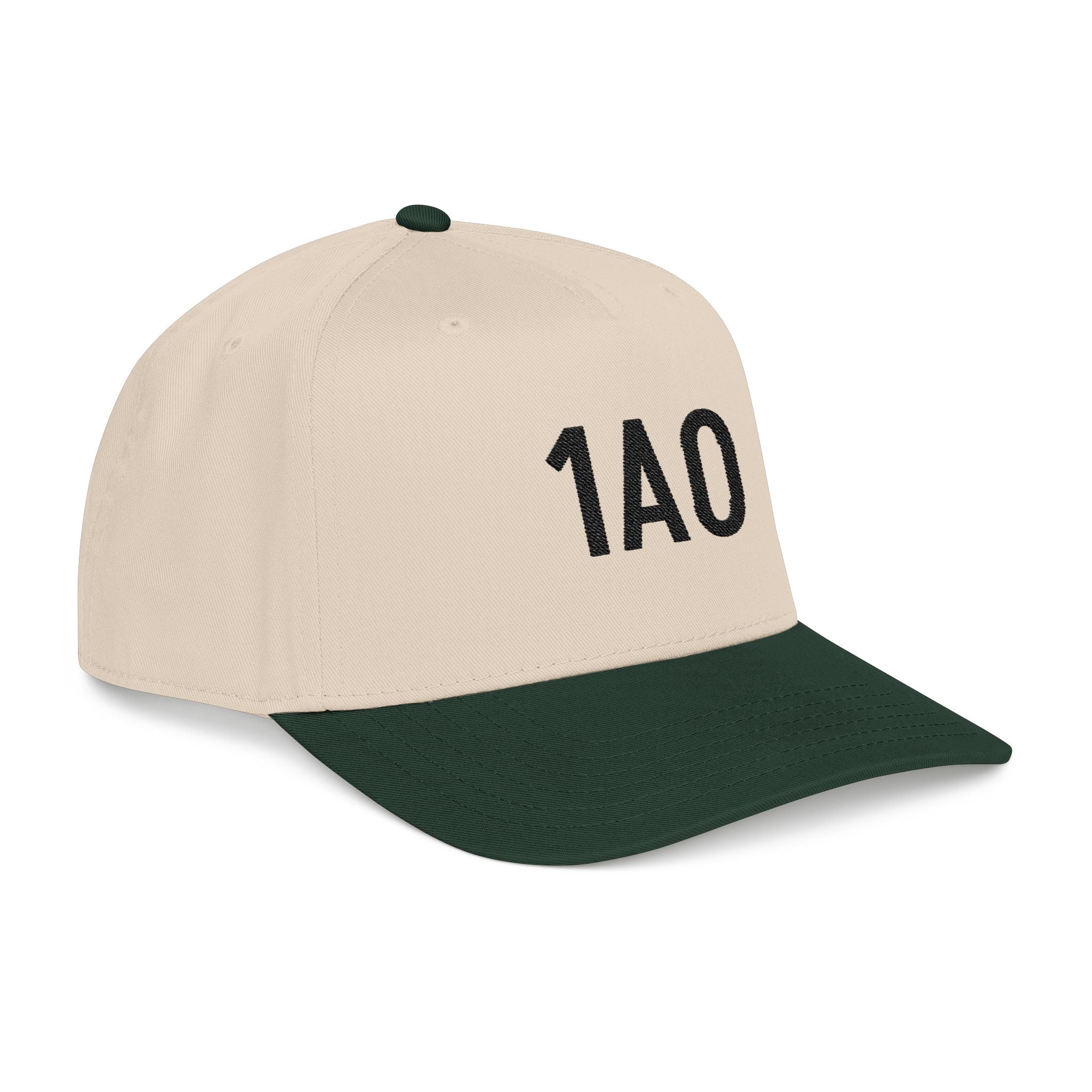 Embroidered 1AO Baseball Cap