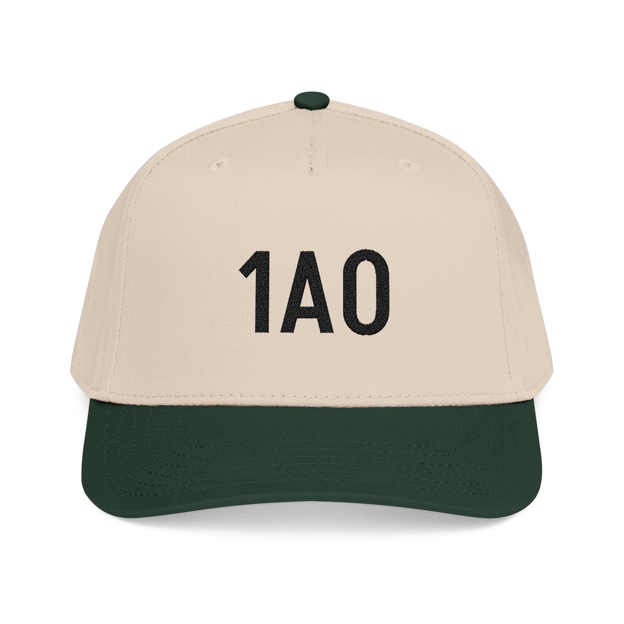 Embroidered 1AO Baseball Cap