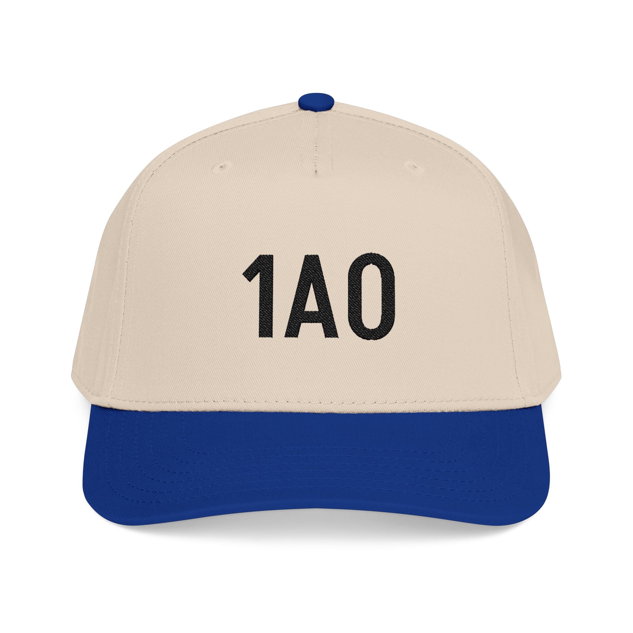 Embroidered 1AO Baseball Cap